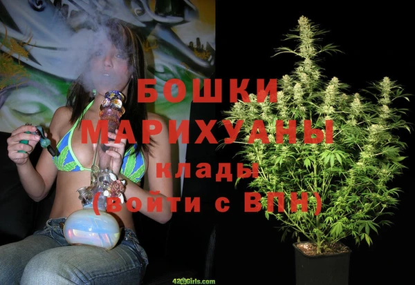 сатива Коряжма