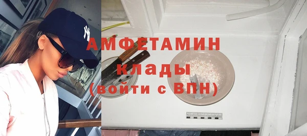 сатива Коряжма