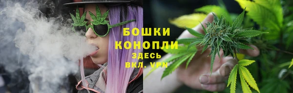 сатива Коряжма