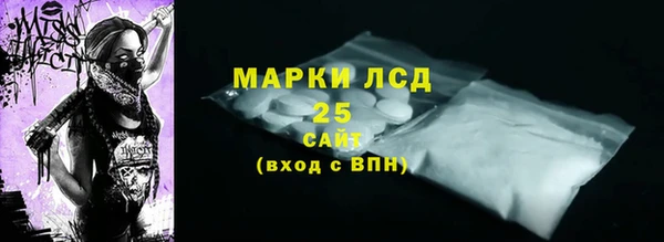 сатива Коряжма