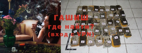 сатива Коряжма