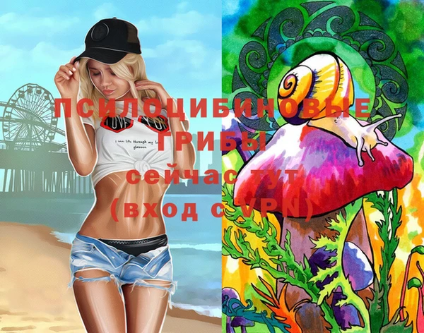 сатива Коряжма