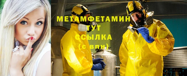 сатива Коряжма