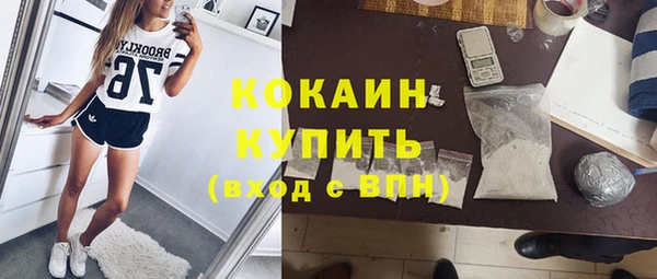 сатива Коряжма