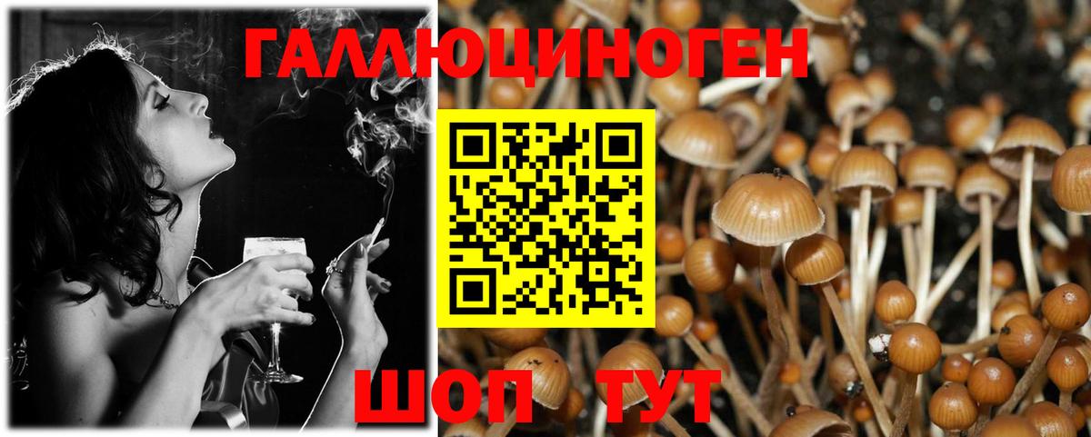 Галлюциногенные грибы Cubensis Ухта
